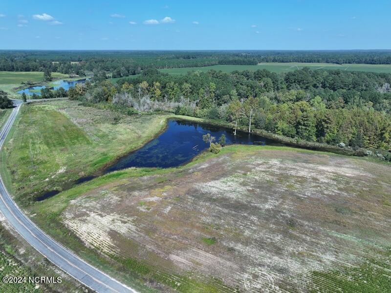 Tbd Cowpen Swamp Road Property Photo 3