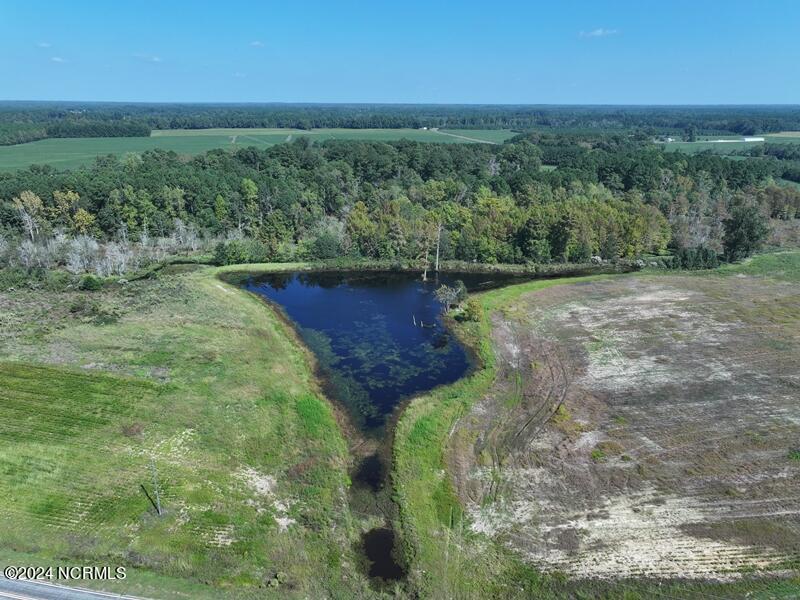 Tbd Cowpen Swamp Road Property Photo 4