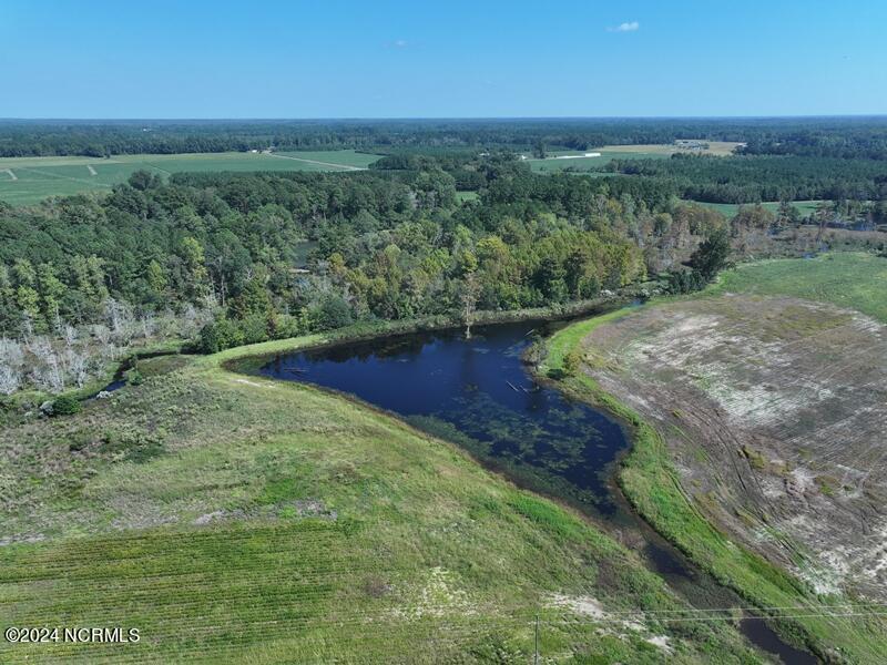 Tbd Cowpen Swamp Road Property Photo 5