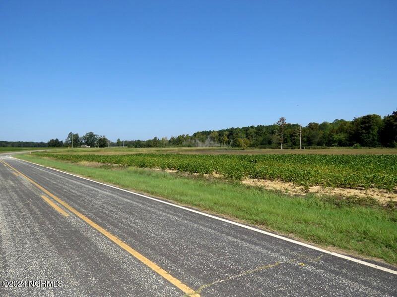 Tbd Cowpen Swamp Road Property Photo 6