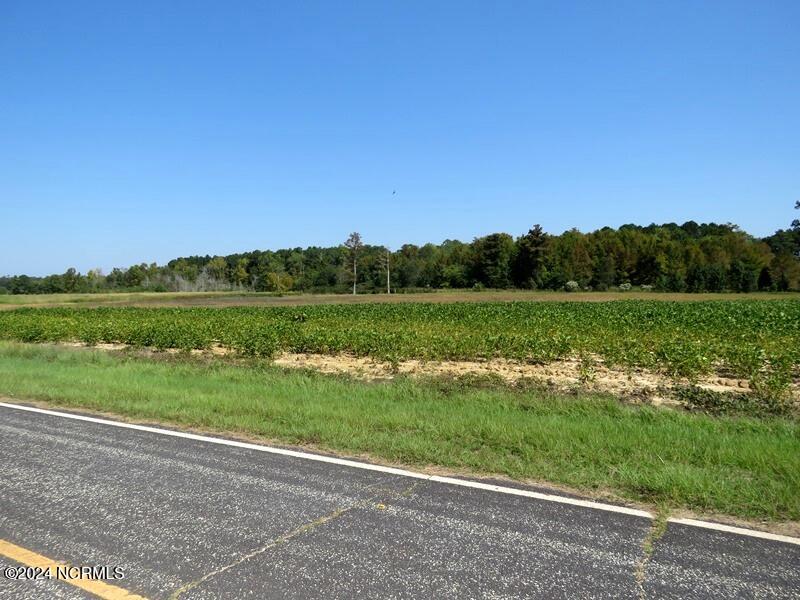 Tbd Cowpen Swamp Road Property Photo 7