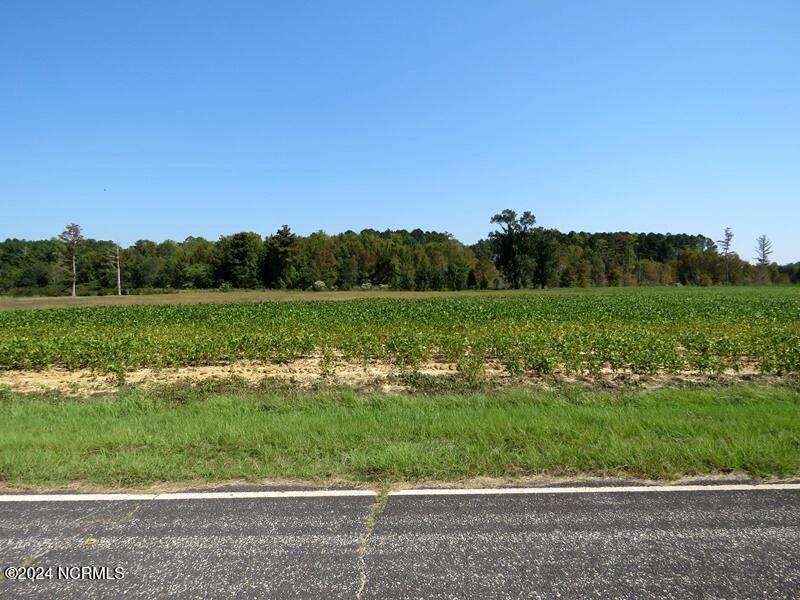 Tbd Cowpen Swamp Road Property Photo 8