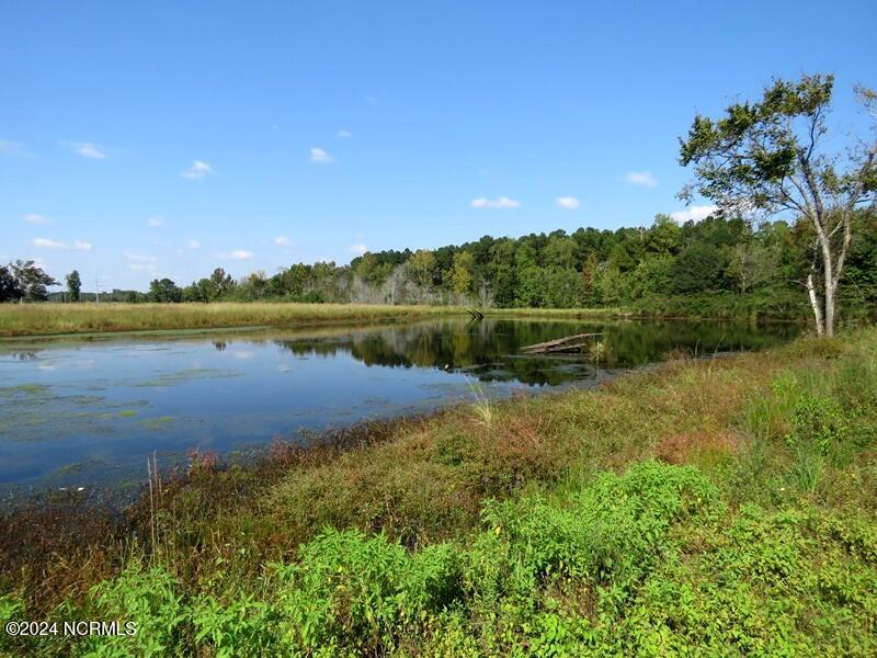 Tbd Cowpen Swamp Road Property Photo 9