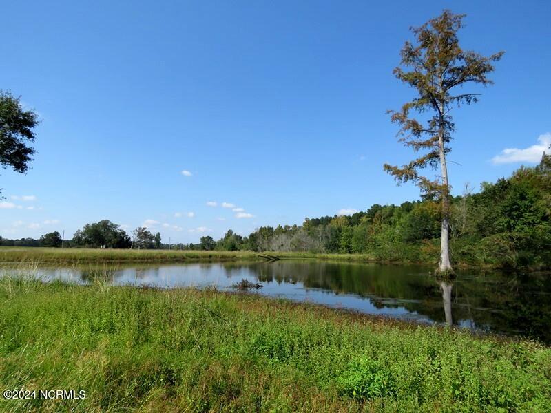 Tbd Cowpen Swamp Road Property Photo 10