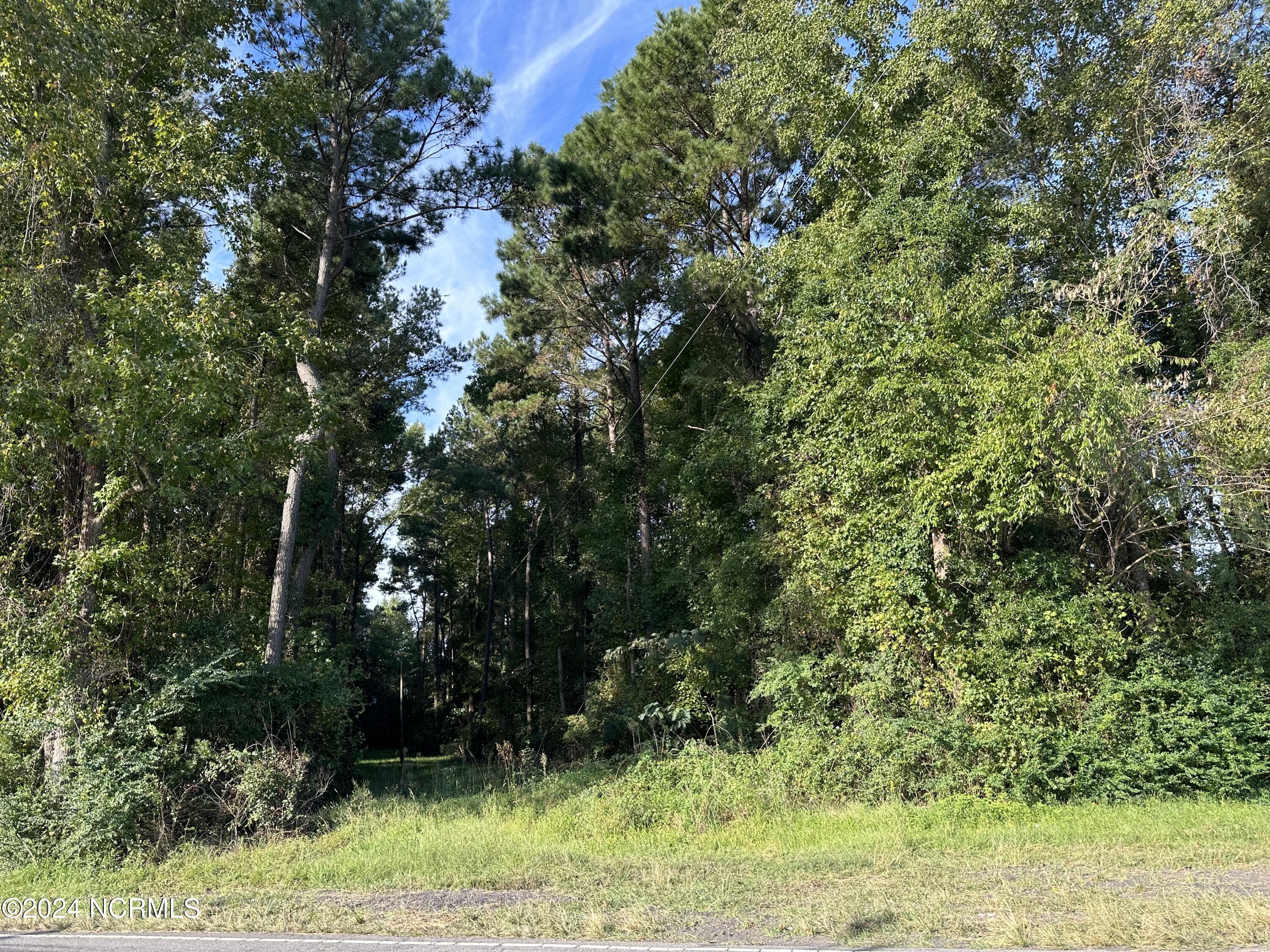 Near 427 Smyrna Road Property Photo 2