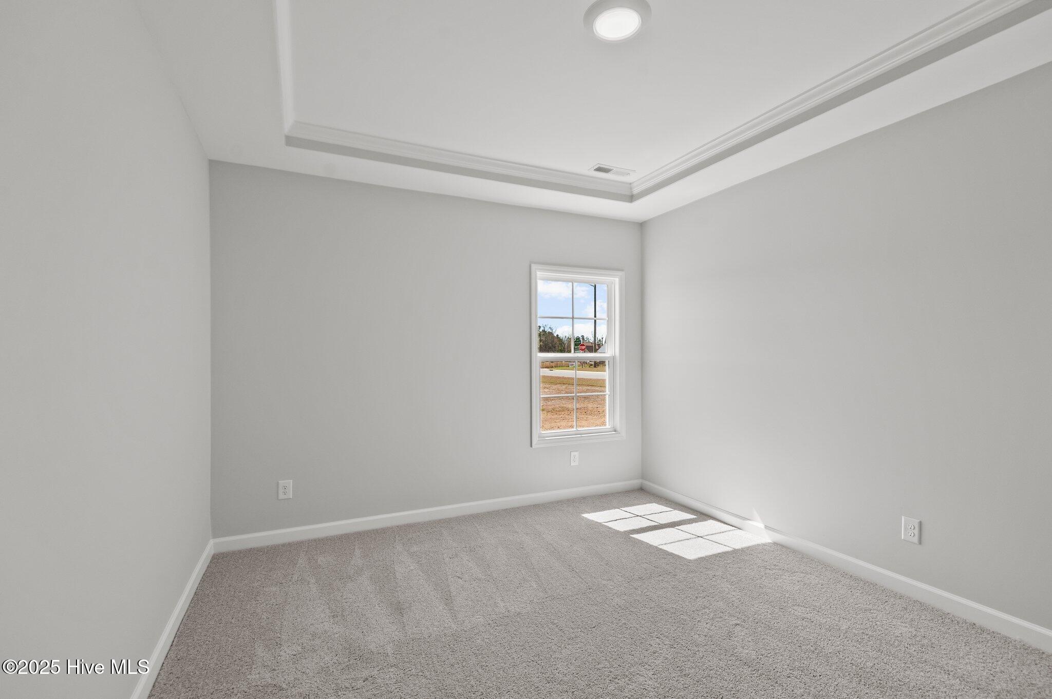 2810 Palamino Way Property Photo 9