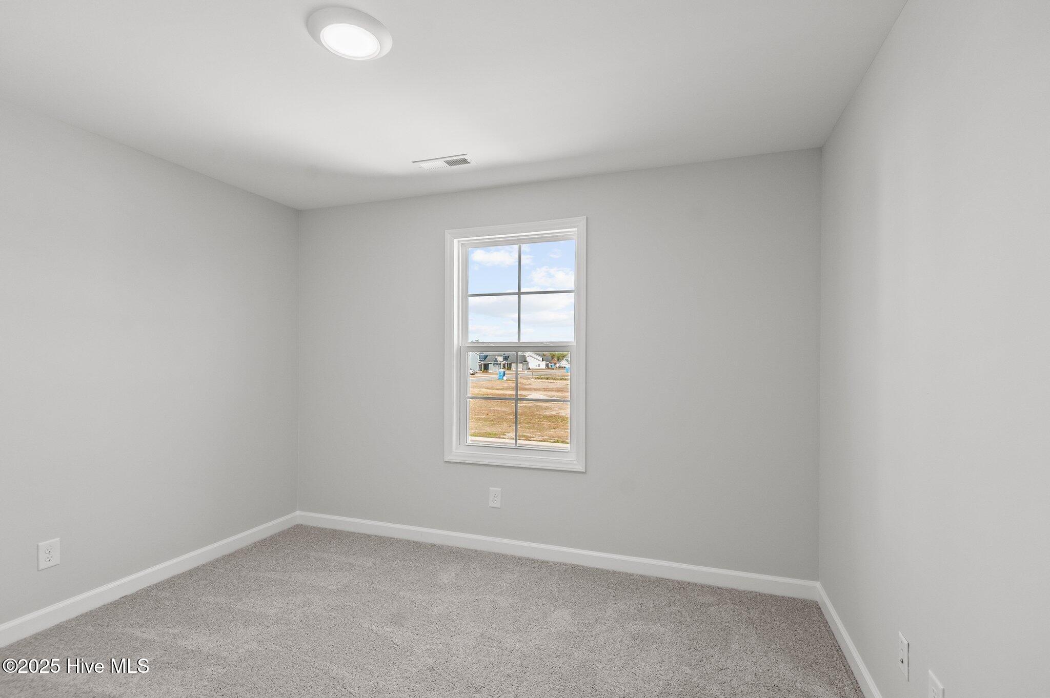 2810 Palamino Way Property Photo 17