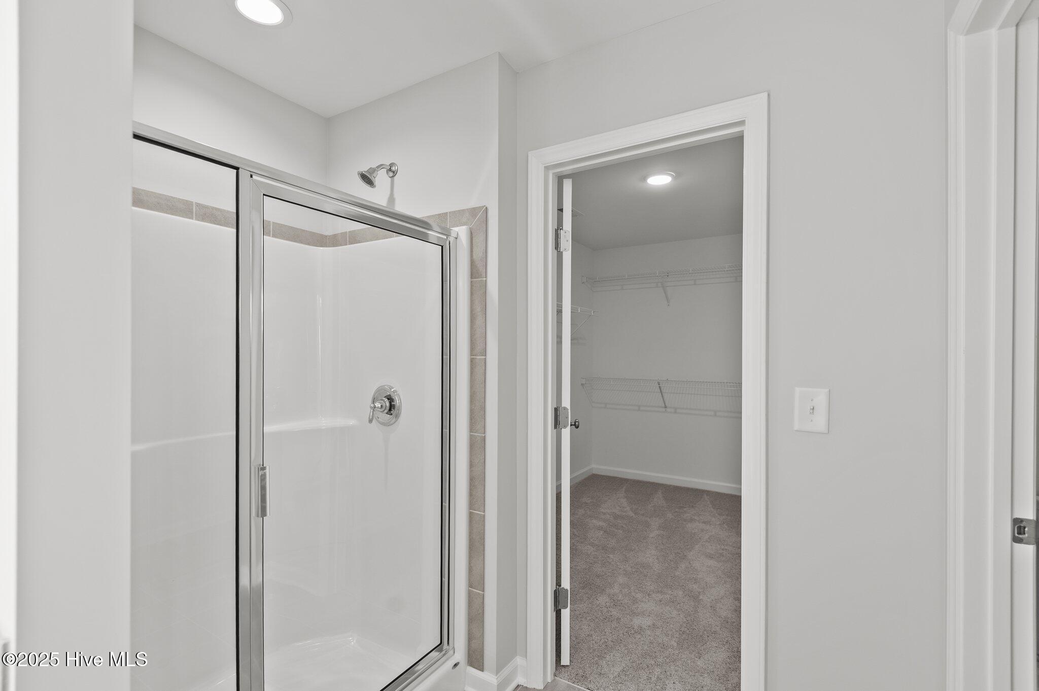 2810 Palamino Way Property Photo 25