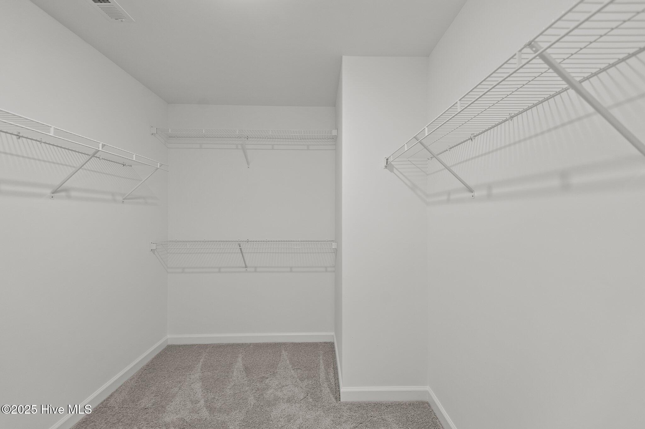2810 Palamino Way Property Photo 27