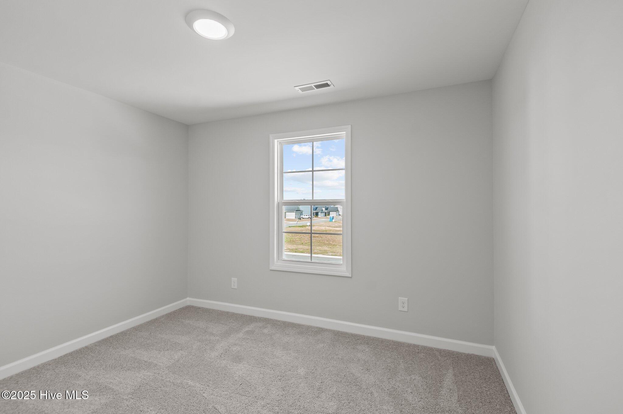 2810 Palamino Way Property Photo 28