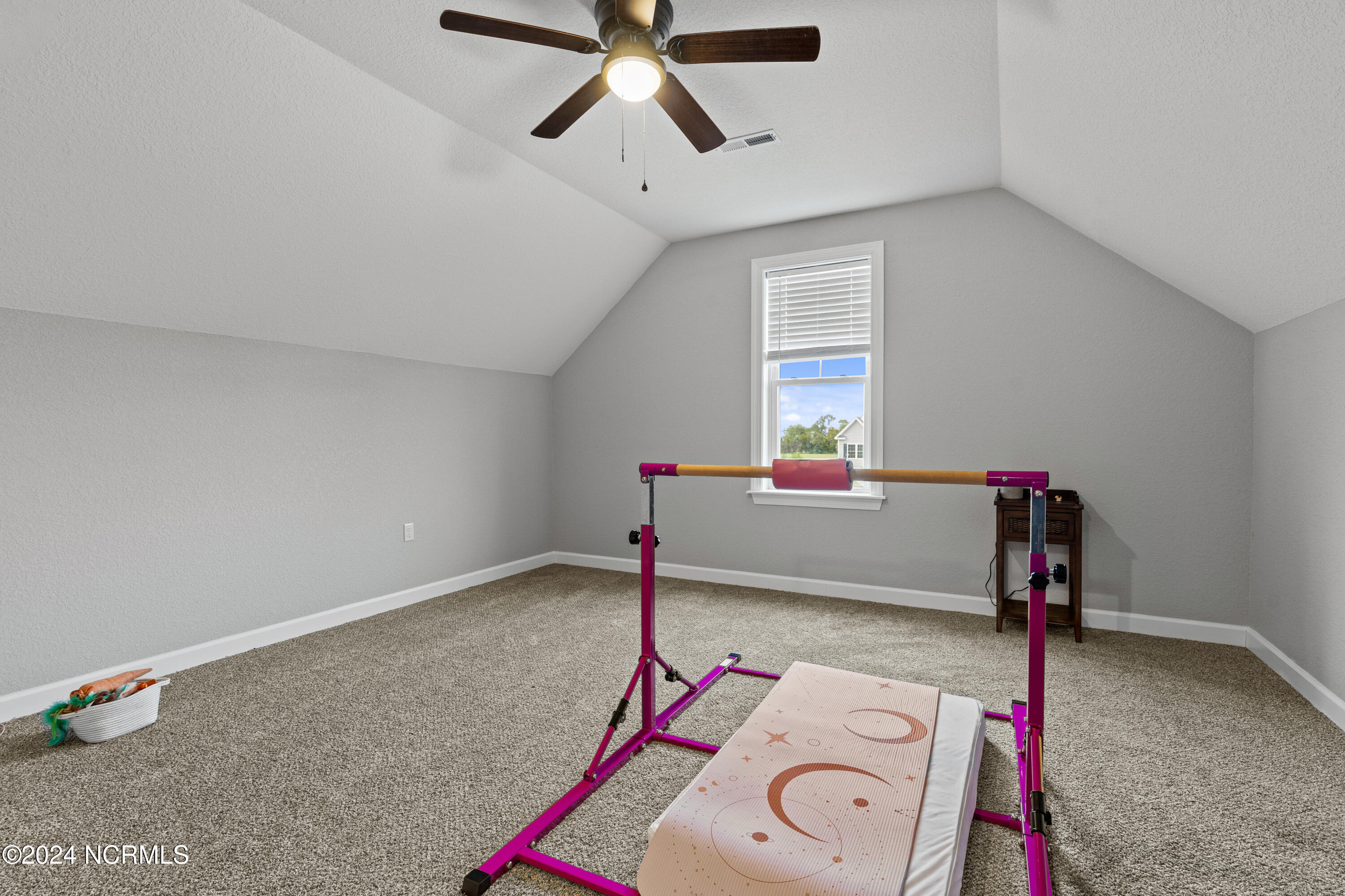 121 Lady Frances Way Property Photo 41