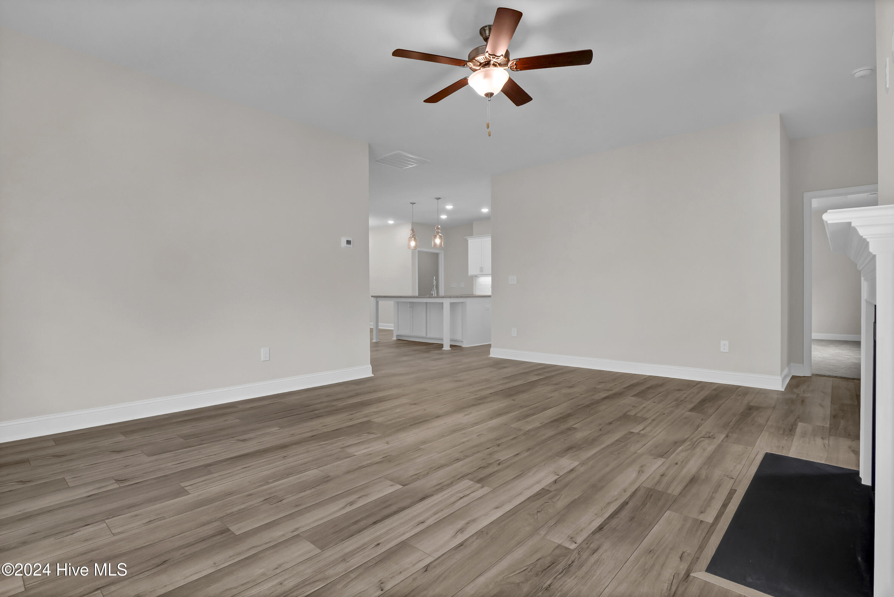 852 Red Sky Drive Property Photo 15