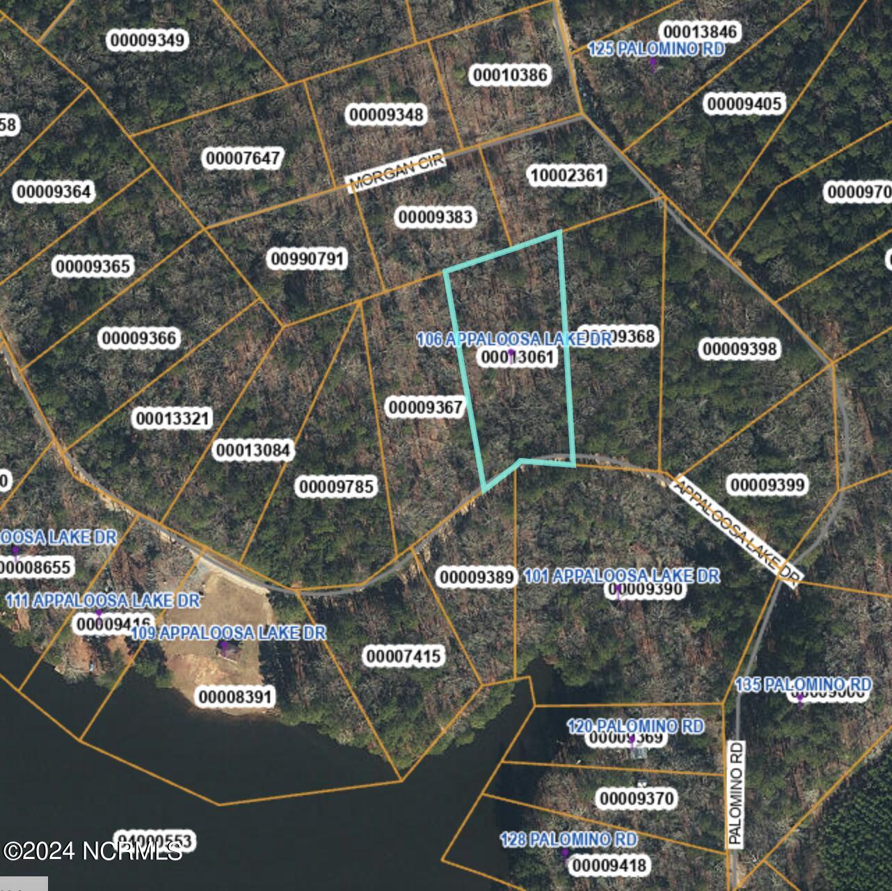 106 Appaloosa Lake Drive Property Photo 2