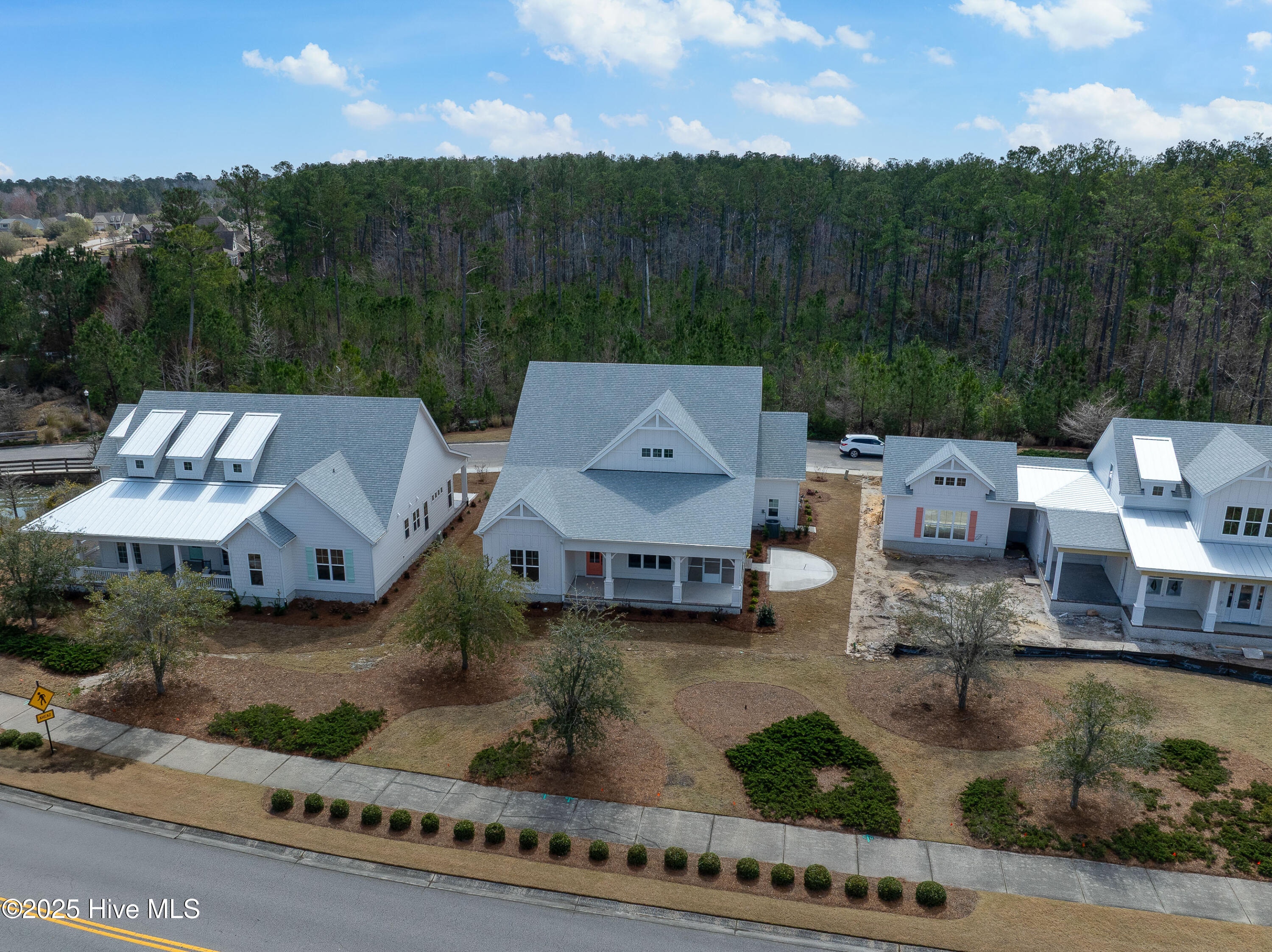 843 Meadowsweet Lane Property Photo 7