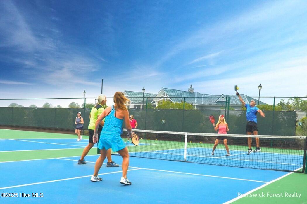 851 Meadowsweet Lane Property Photo 59