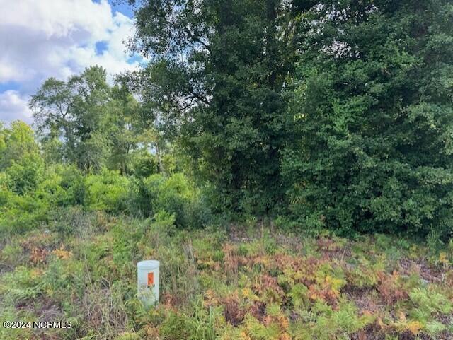 Tract A Leland School Road Property Photo 3