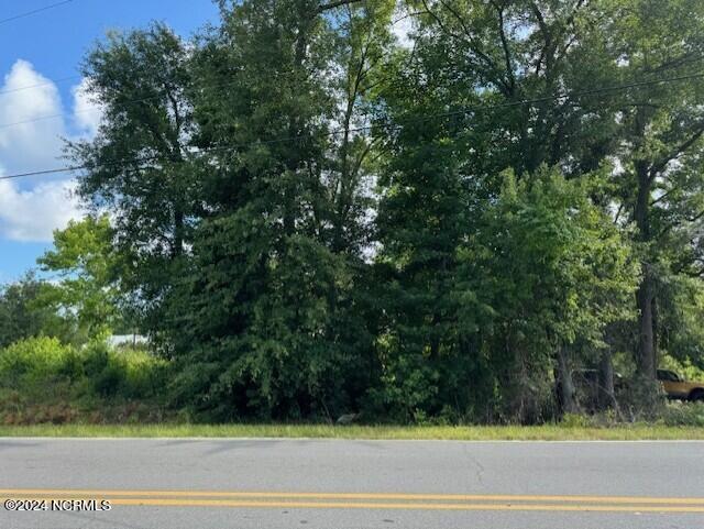 Tract A Leland School Road Property Photo 4