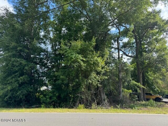 Tract A Leland School Road Property Photo 6