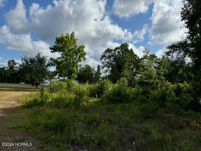 Tract A Leland School Road Property Photo 7