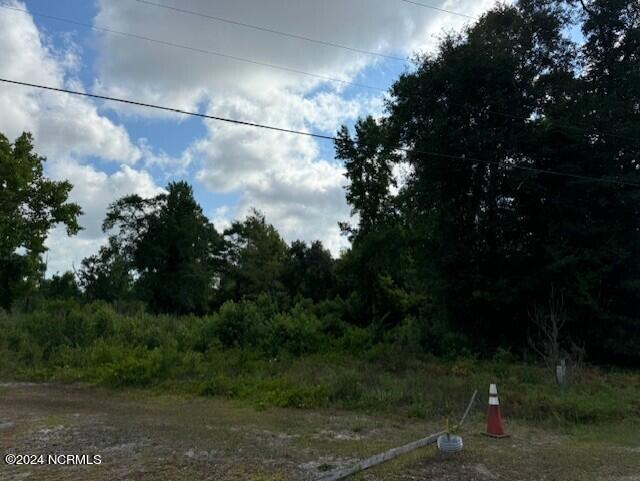 Tract A Leland School Road Property Photo 8
