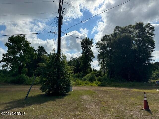 Tract A Leland School Road Property Photo 10