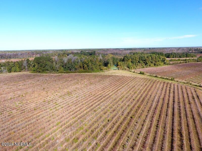 0 Near 9845 Swamp Fox Hwy Property Photo 2