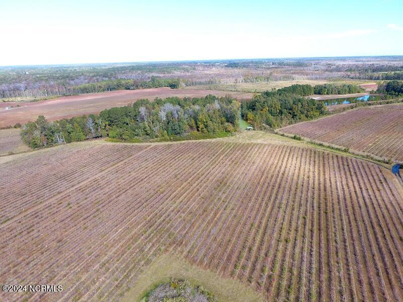 0 Near 9845 Swamp Fox Hwy Property Photo 3