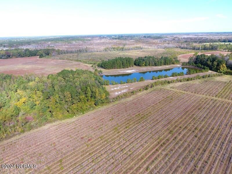 0 Near 9845 Swamp Fox Hwy Property Photo 4