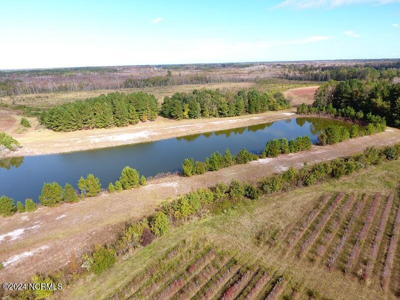 0 Near 9845 Swamp Fox Hwy Property Photo 7