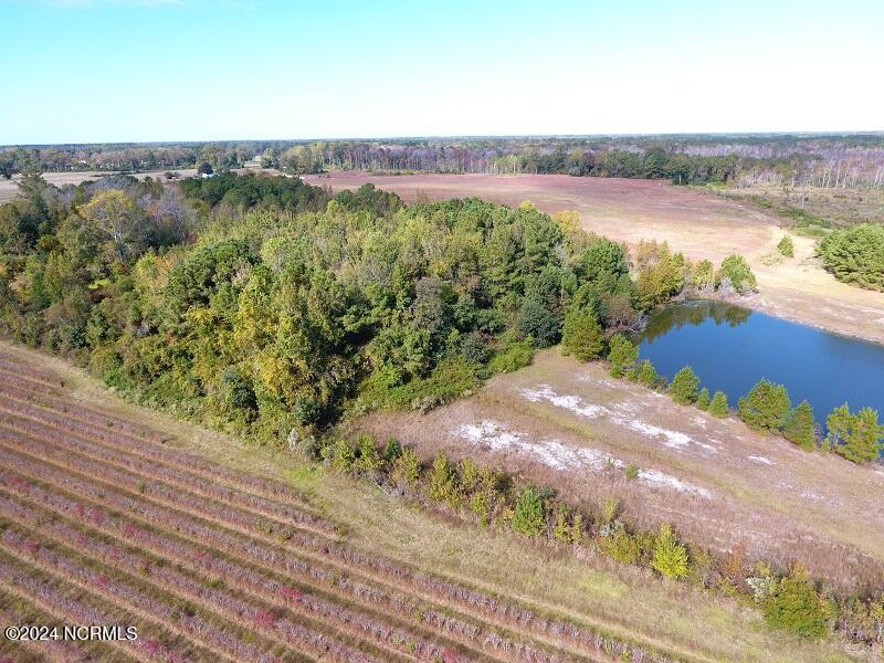 0 Near 9845 Swamp Fox Hwy Property Photo 8