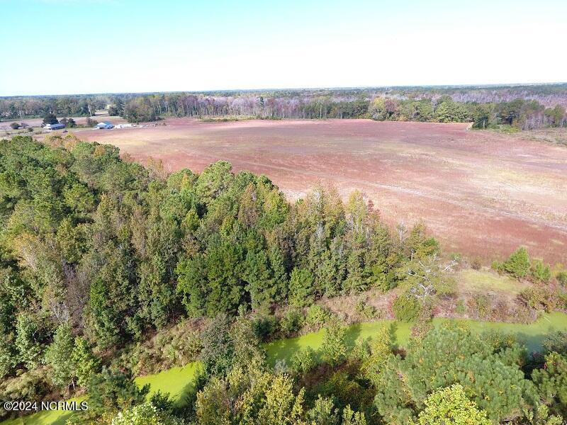 0 Near 9845 Swamp Fox Hwy Property Photo 9