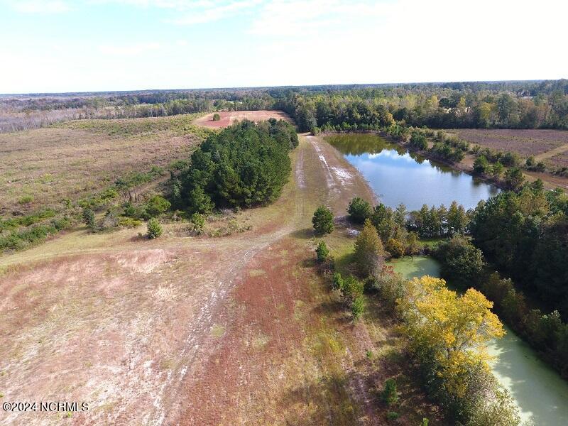 0 Near 9845 Swamp Fox Hwy Property Photo 10