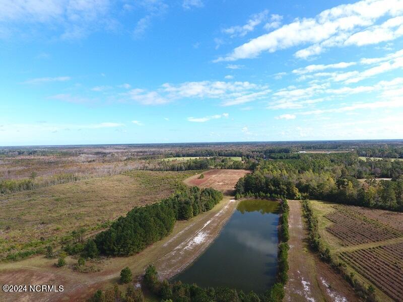 0 Near 9845 Swamp Fox Hwy Property Photo 11