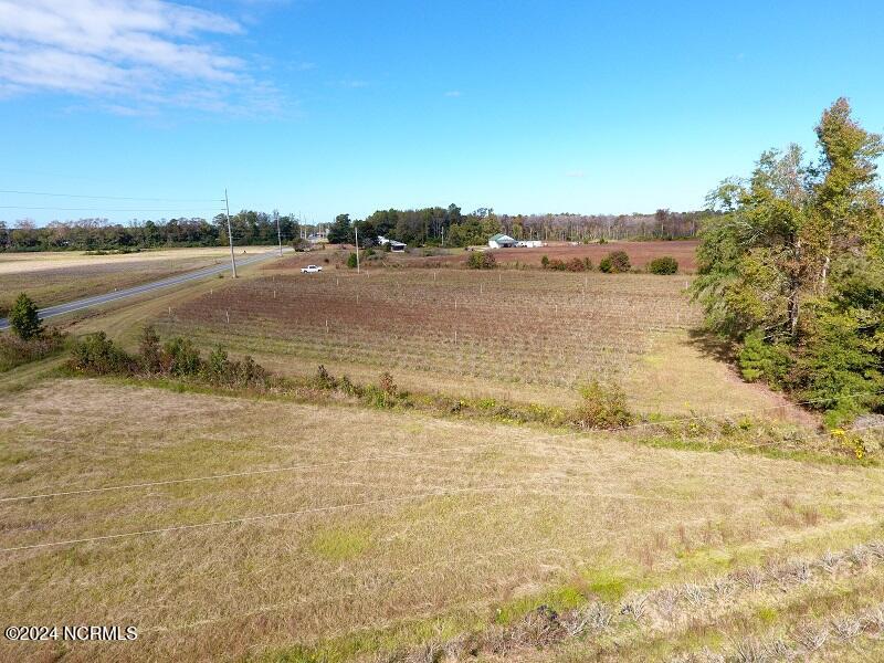 0 Near 9845 Swamp Fox Hwy Property Photo 16