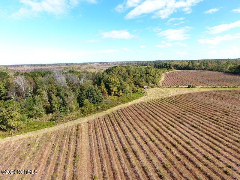 0 Near 9845 Swamp Fox Hwy Property Photo 17