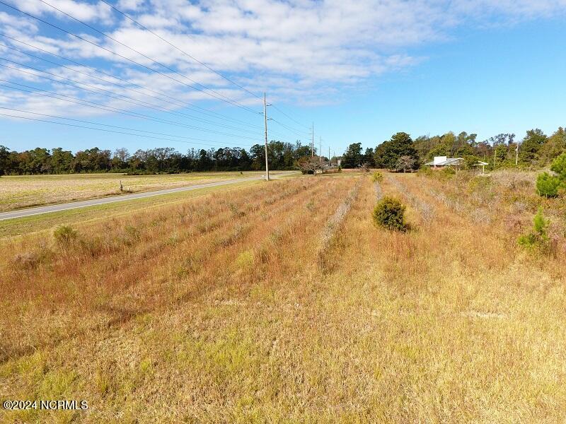 0 Near 9845 Swamp Fox Hwy Property Photo 18