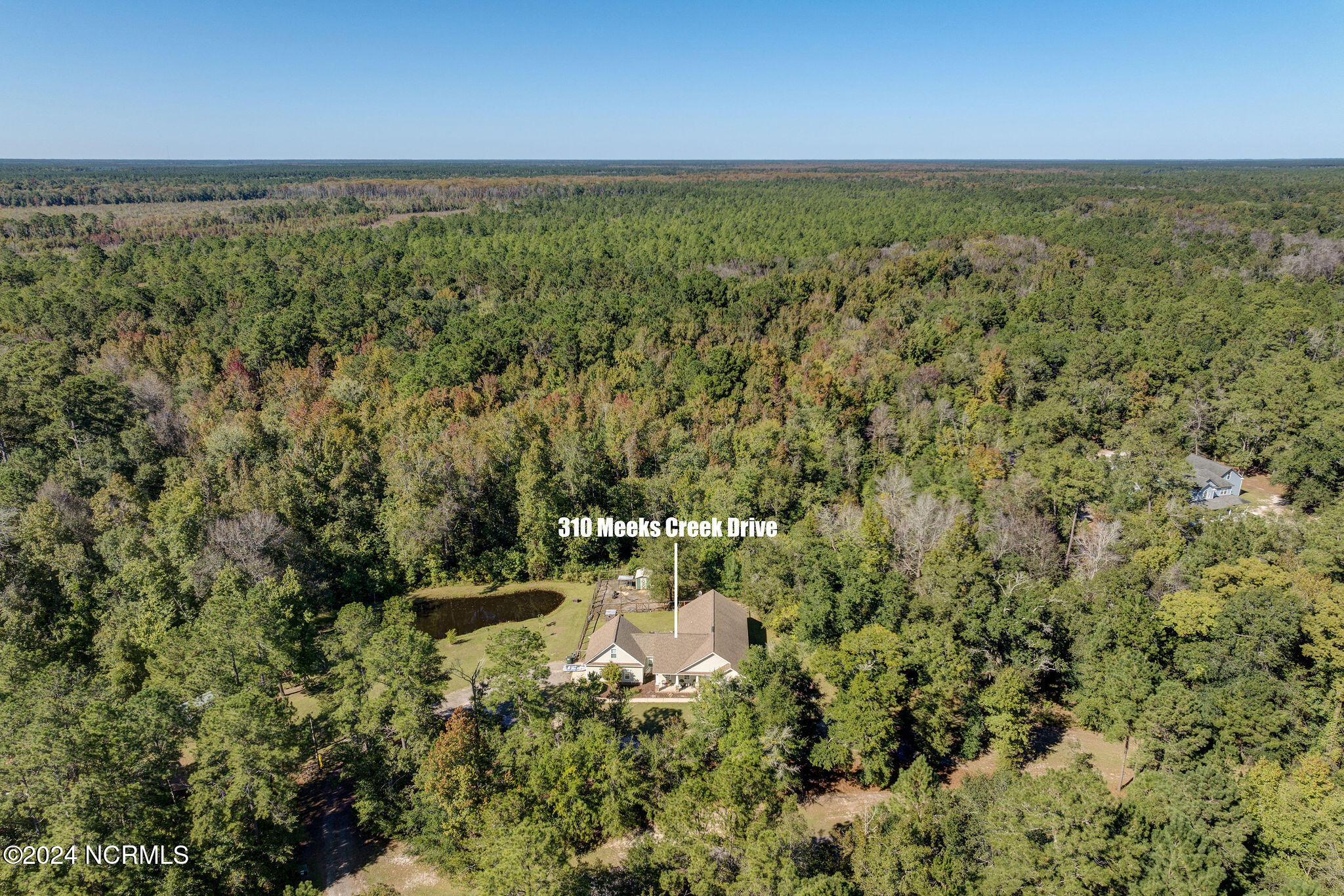 310 Meeks Creek Drive Property Photo 3
