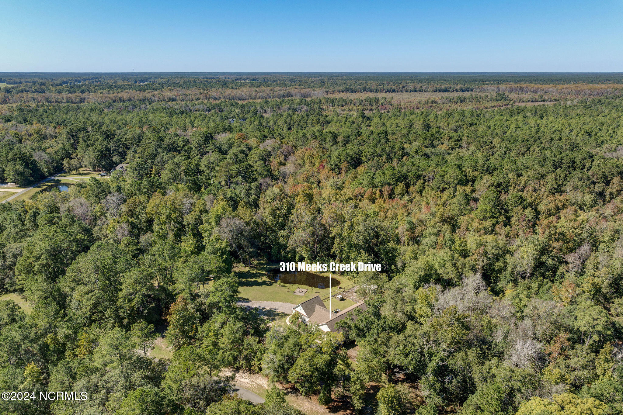 310 Meeks Creek Drive Property Photo 4