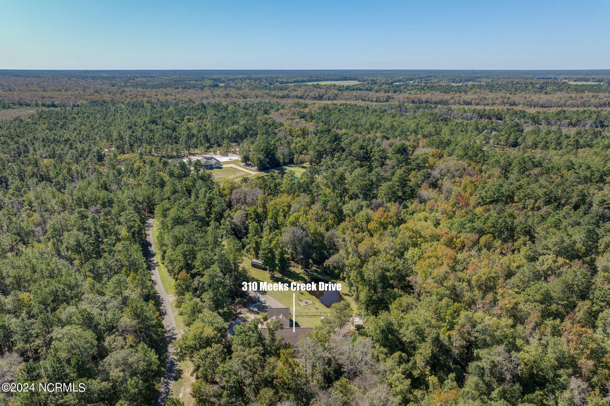 310 Meeks Creek Drive Property Photo 5