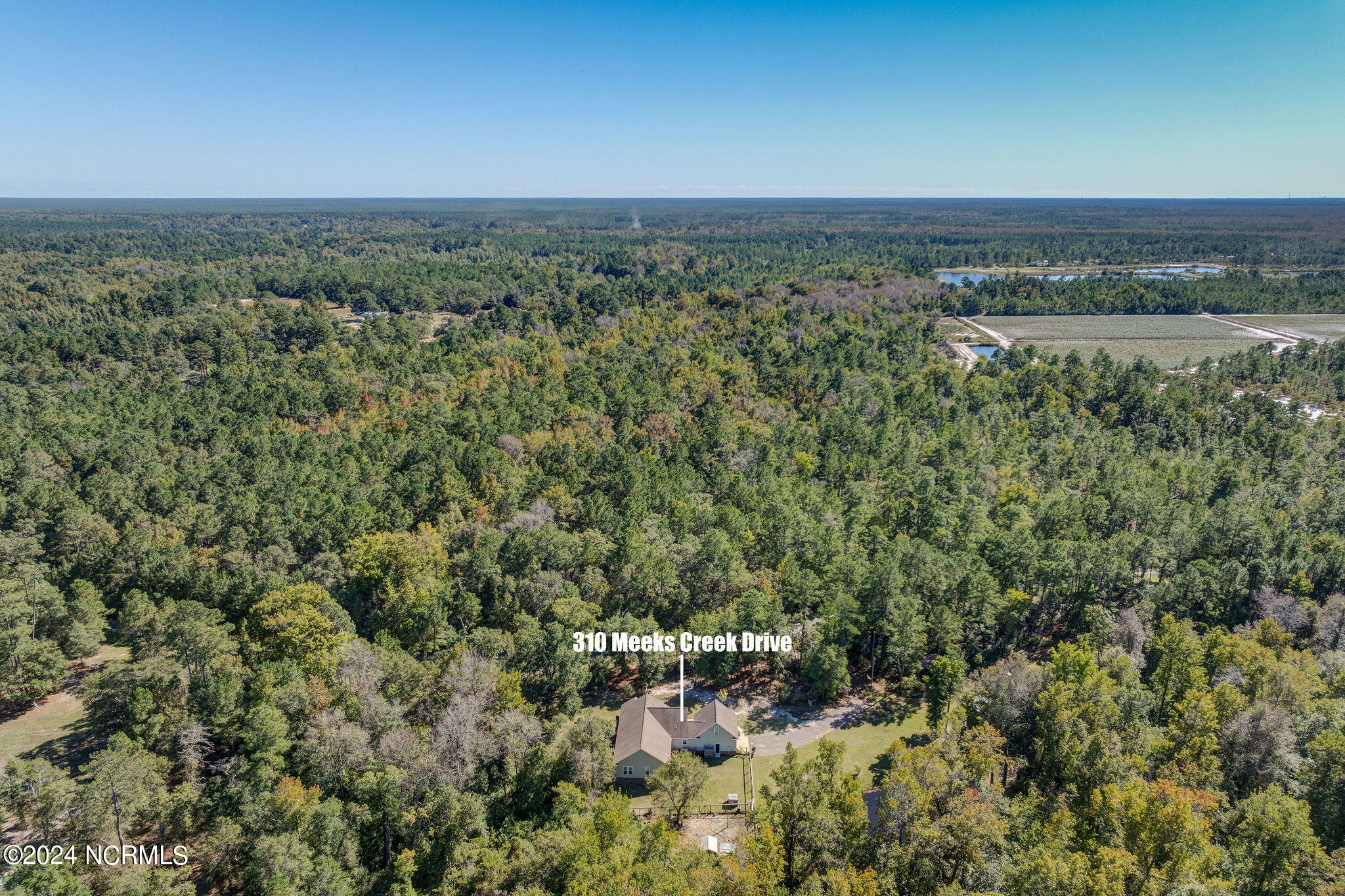 310 Meeks Creek Drive Property Photo 7