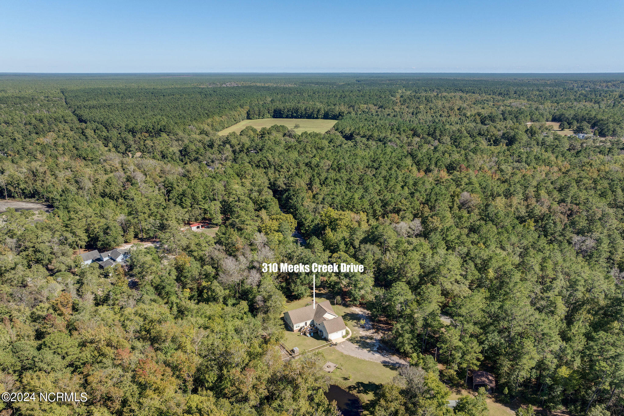 310 Meeks Creek Drive Property Photo 8