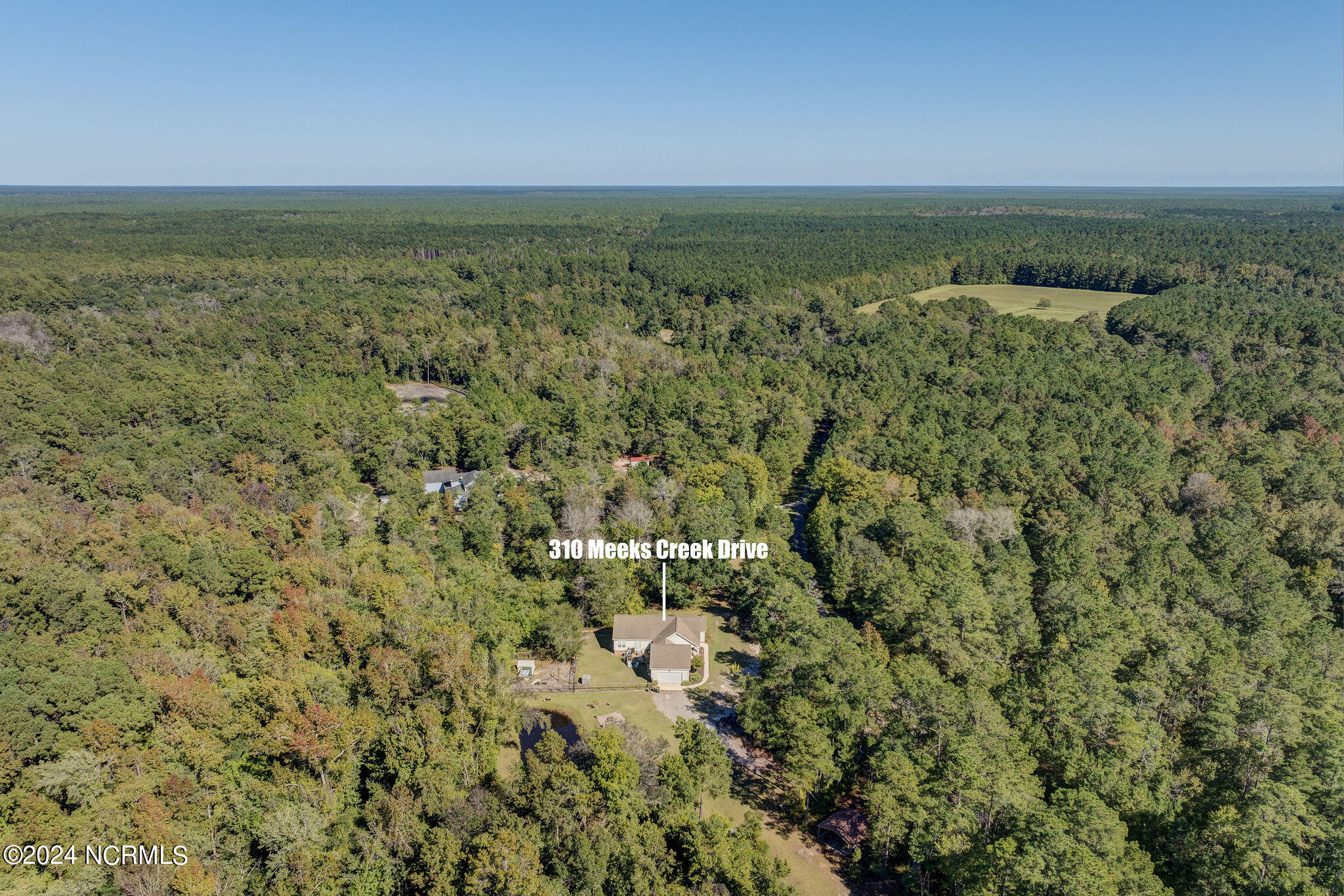310 Meeks Creek Drive Property Photo 9