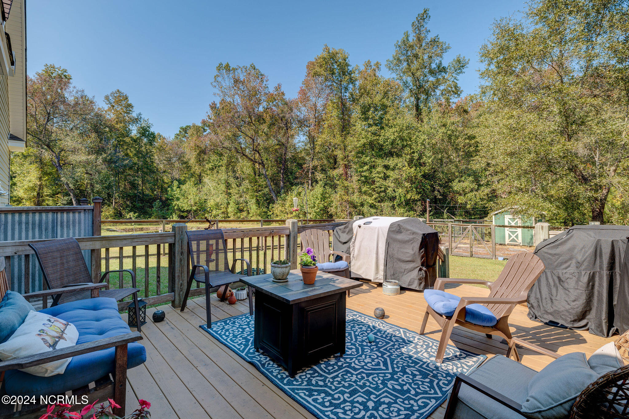 310 Meeks Creek Drive Property Photo 27