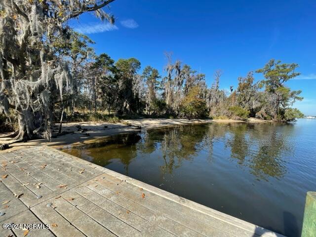 274 Whichard Lane Property Photo 6