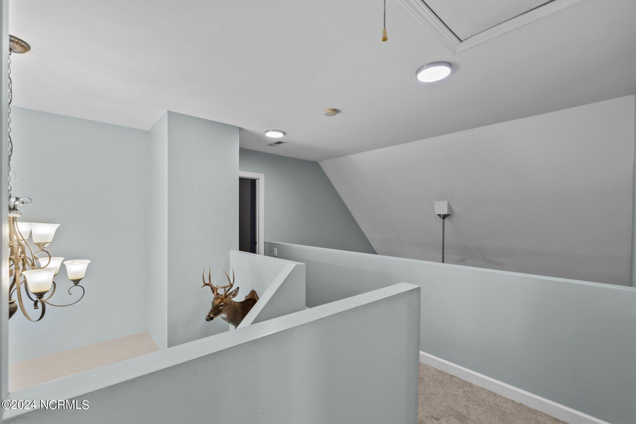644 Ginseng Drive Property Photo 27