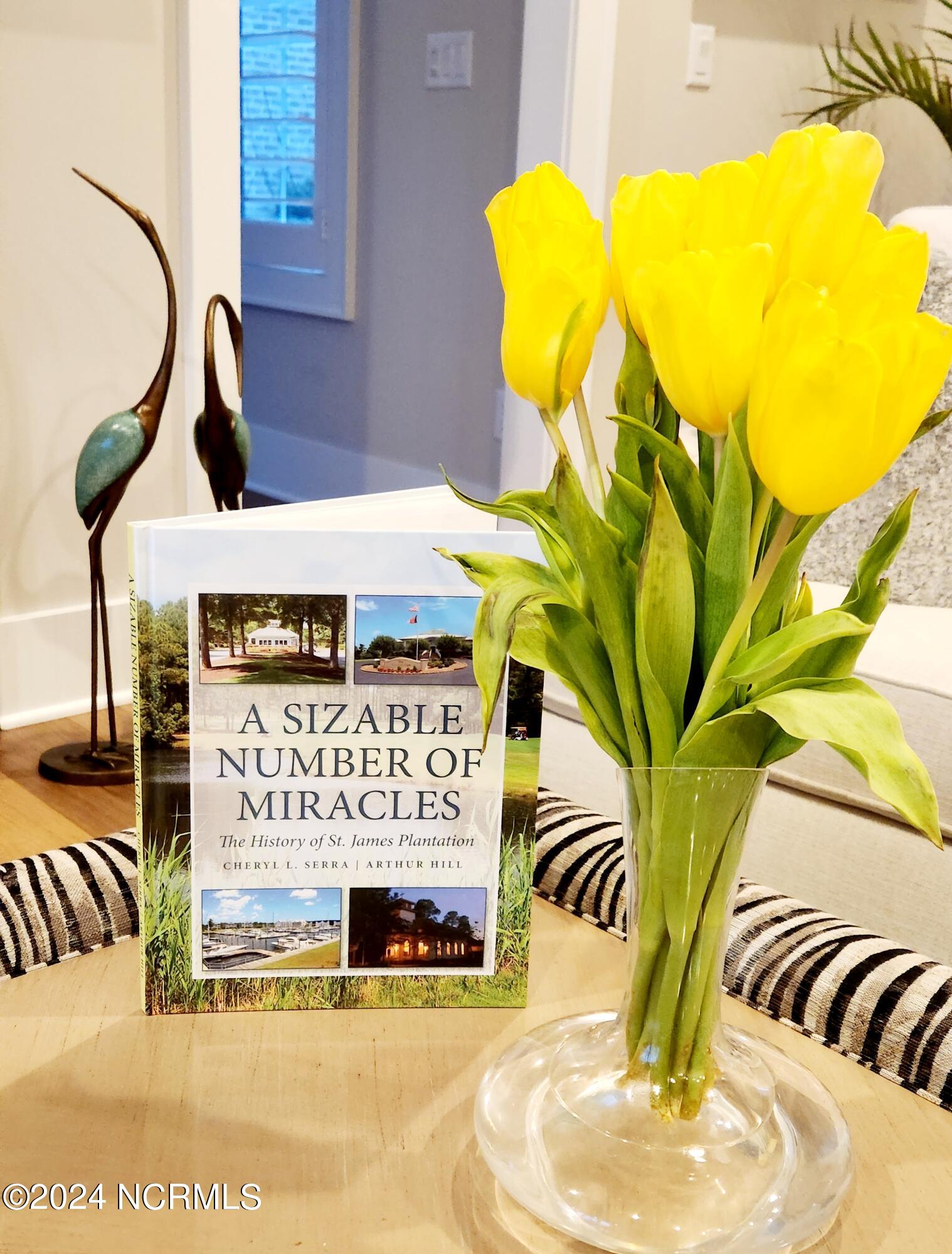 2860 Harborside Way Property Photo 91