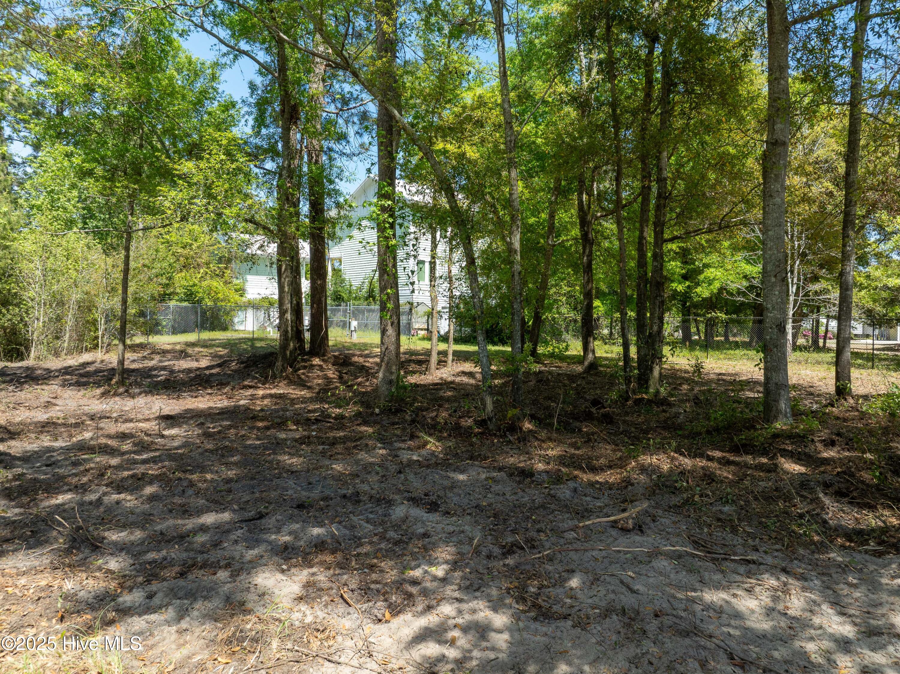 1021 Saltspray Lane Property Photo 17