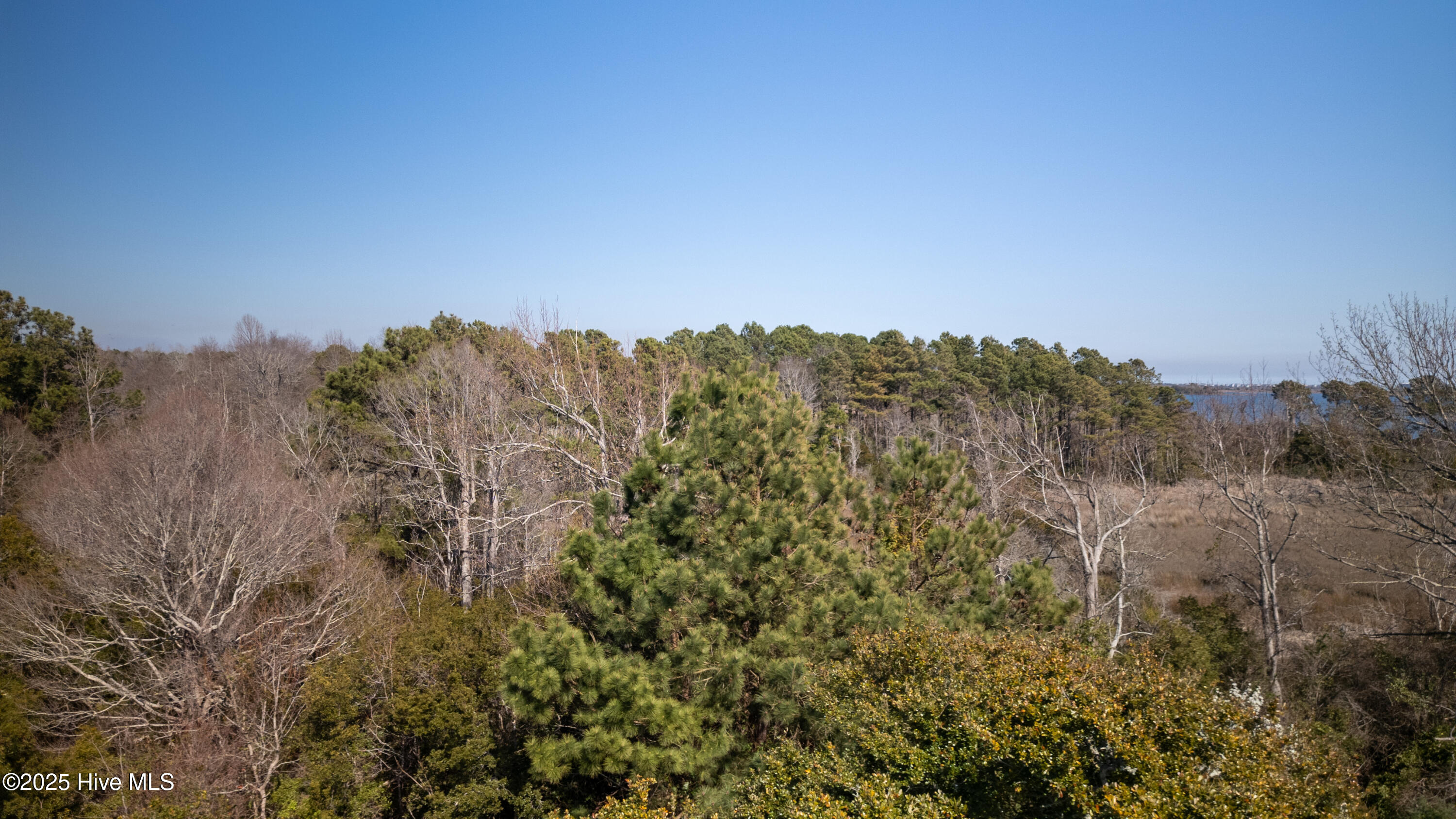 215 Marshside Landing Property Photo 18