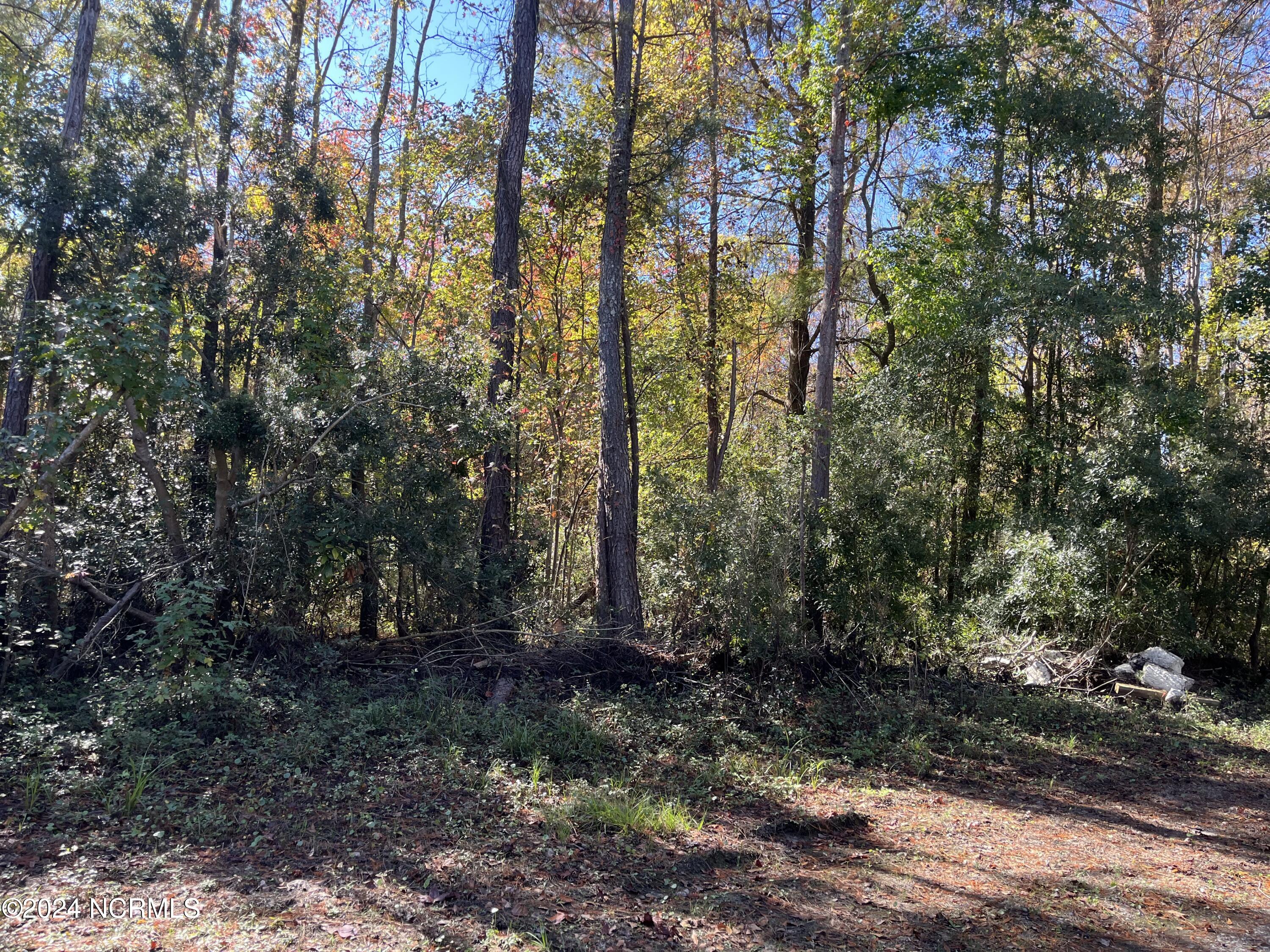 0 Canal Road Property Photo 5