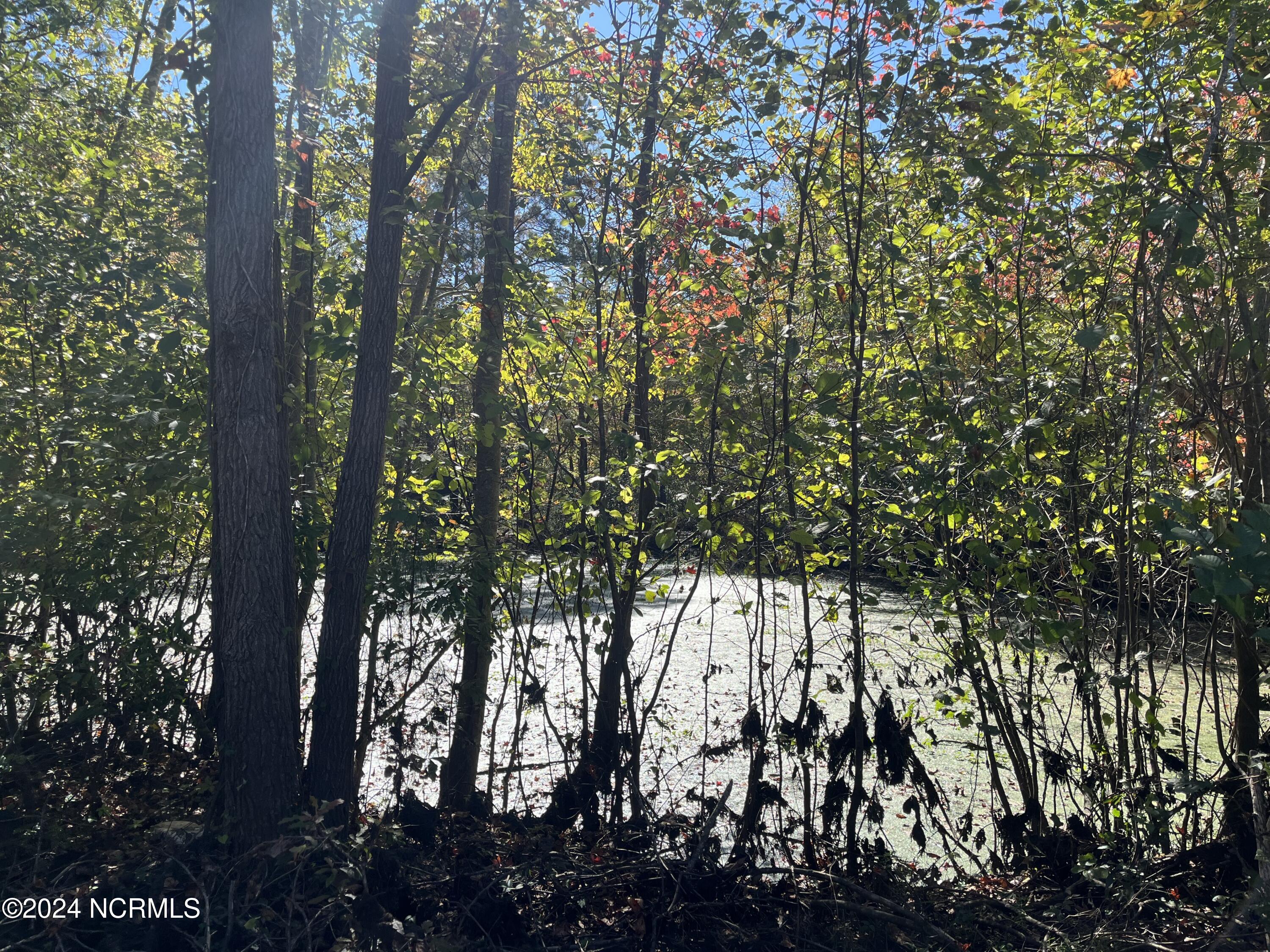 0 Canal Road Property Photo 6